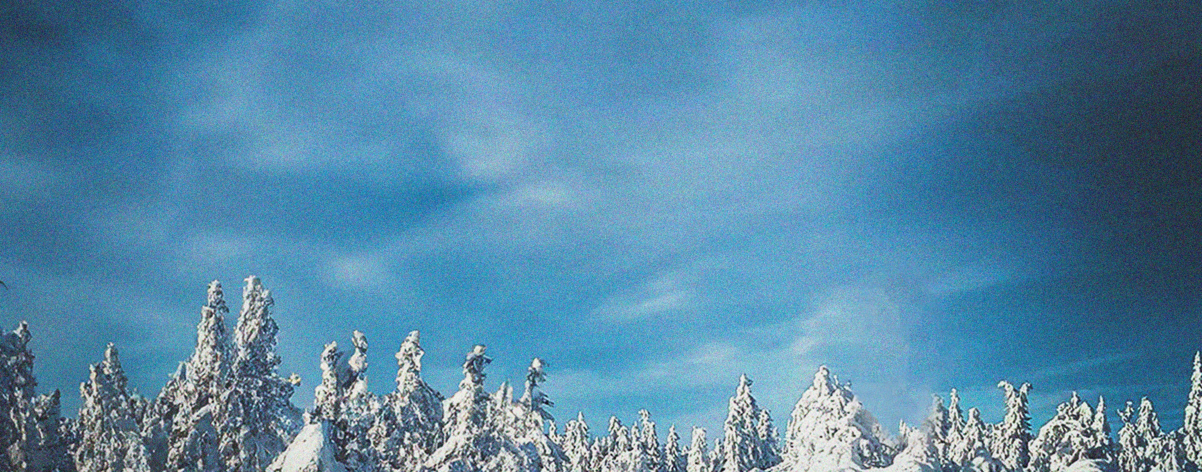 Cross-country skiing - Fixations