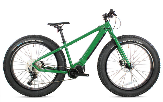 EFATBIKE 1 GREEN