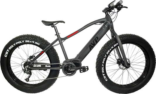 FB-350 ELECTRIC FAT BIKE