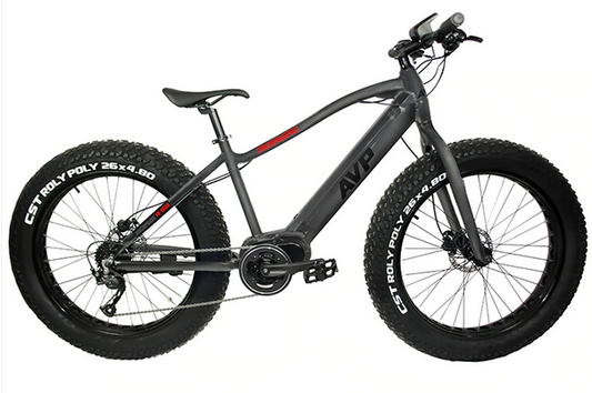 FB-350 ELECTRIC FAT BIKE